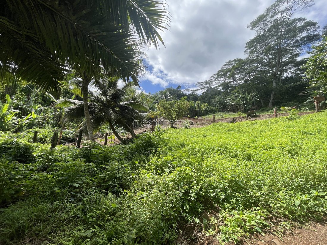 Moorea-Maiao, Windward Islands, French Polynesia 2 - 14677881