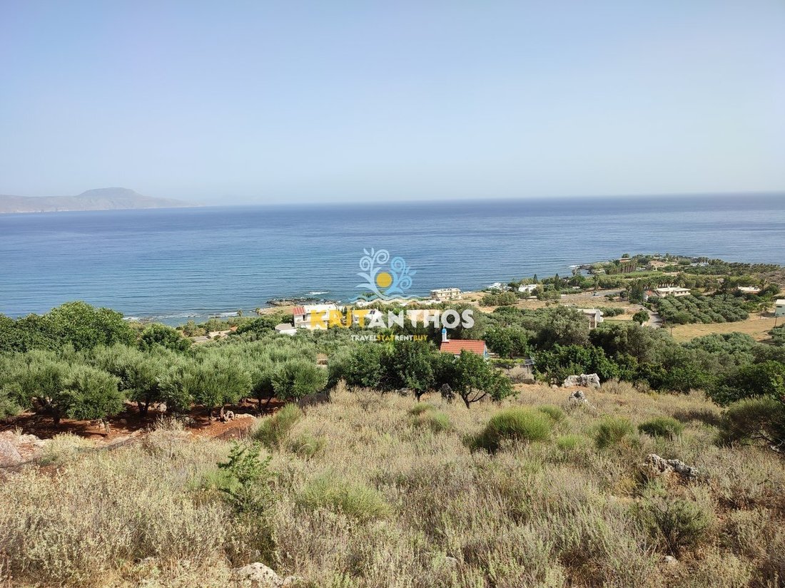 Land in Kreta, Griechenland 3 - 14678808
