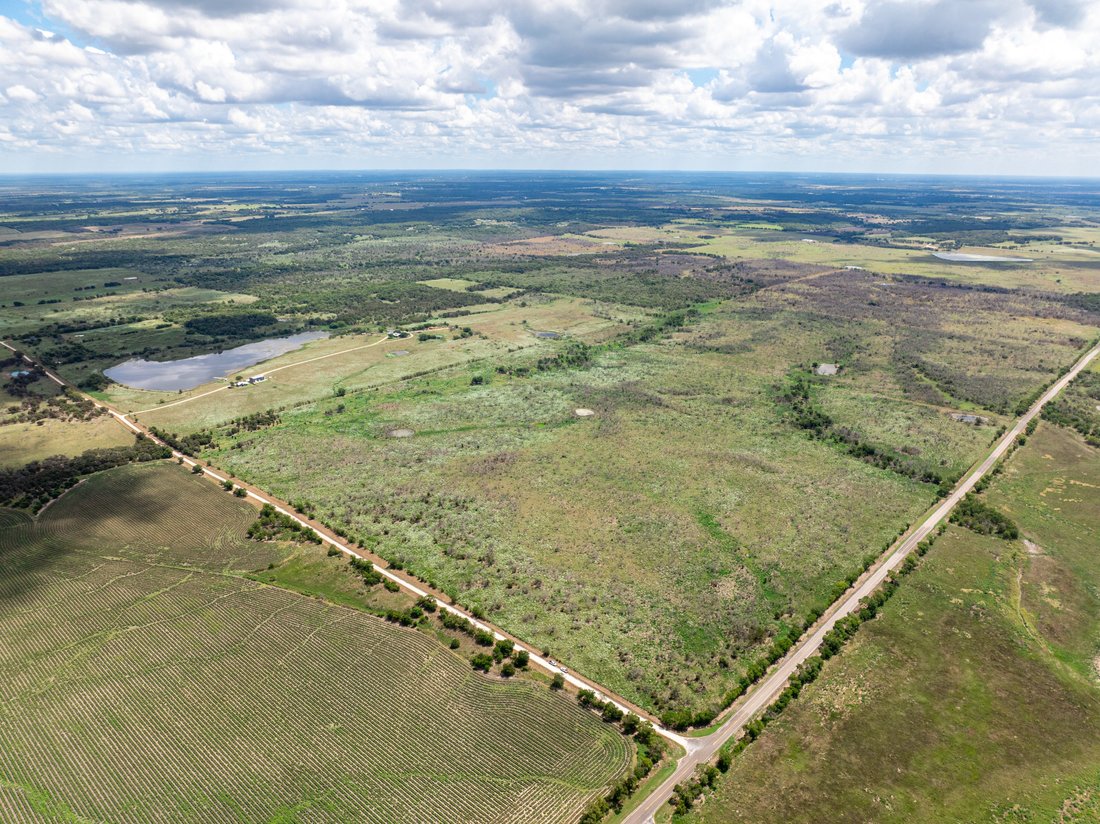 Wynn Ranch In Mexia, Texas, United States For Sale (14678193)