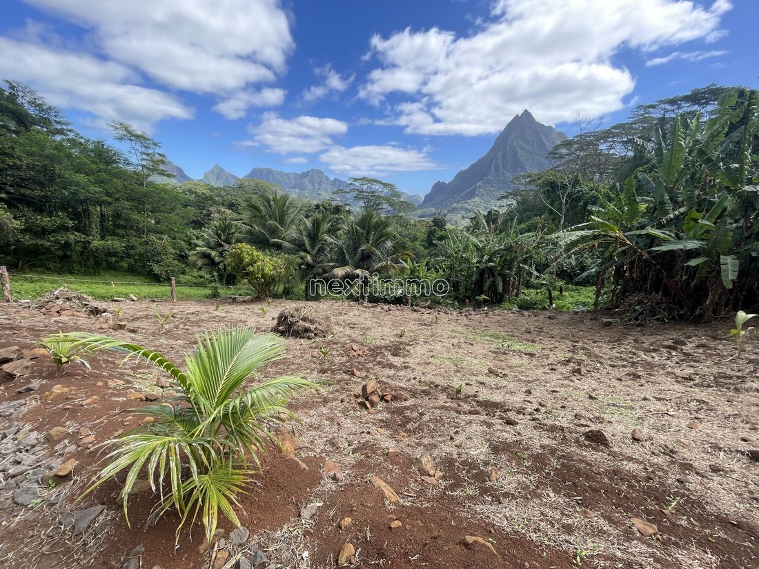 Moorea-Maiao, Windward Islands, French Polynesia 4 - 14677881