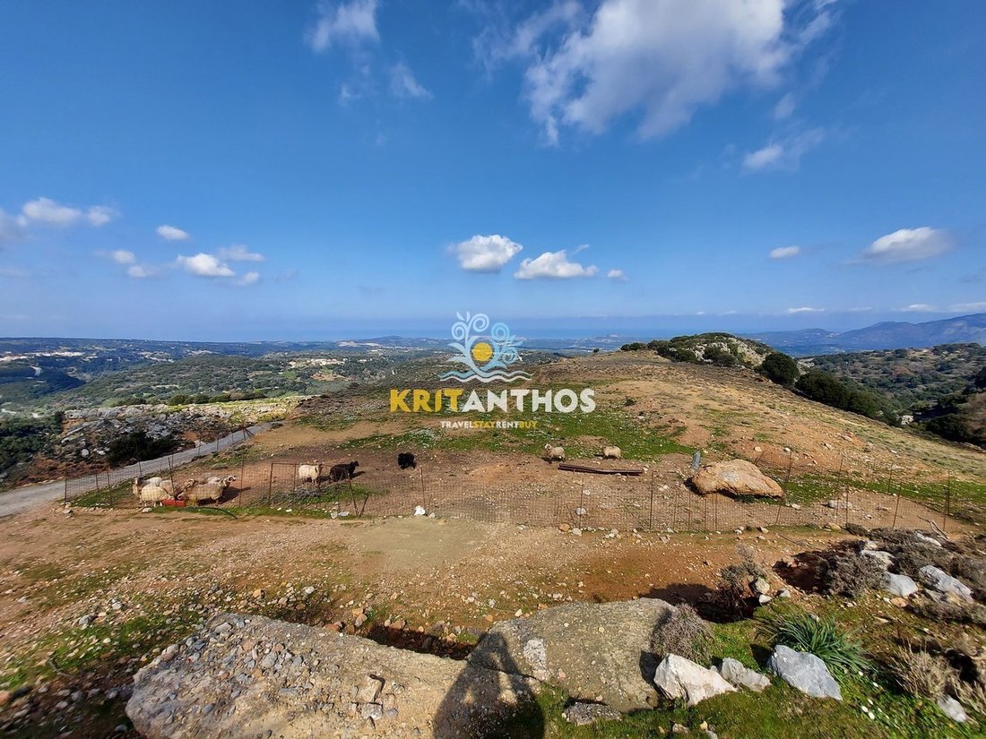 Land in Milopotamos, Greece 2 - 14678834