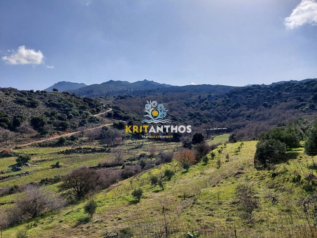 Terreno a Milopotamos, Grecia 1 - 14678835