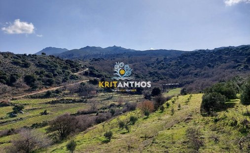 Land in Milopotamos, Griechenland 1