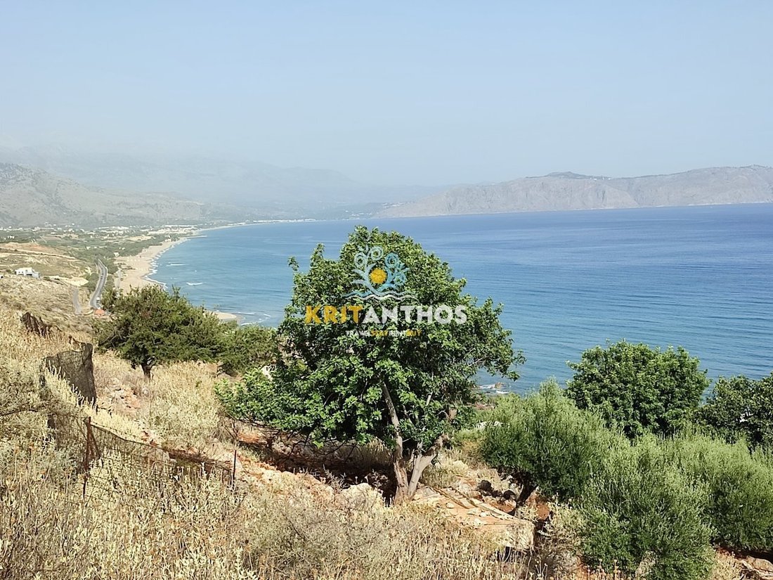 Land in Kreta, Griechenland 4 - 14678808