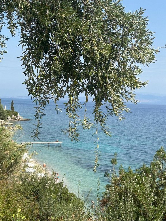 Land in Meliteieis, Peloponnese, Western Greece and the Ionian, Greece 3 - 14678785