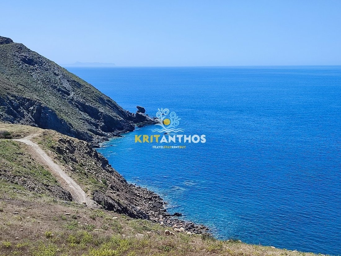 Land in Milopotamos, Greece 1 - 14678787
