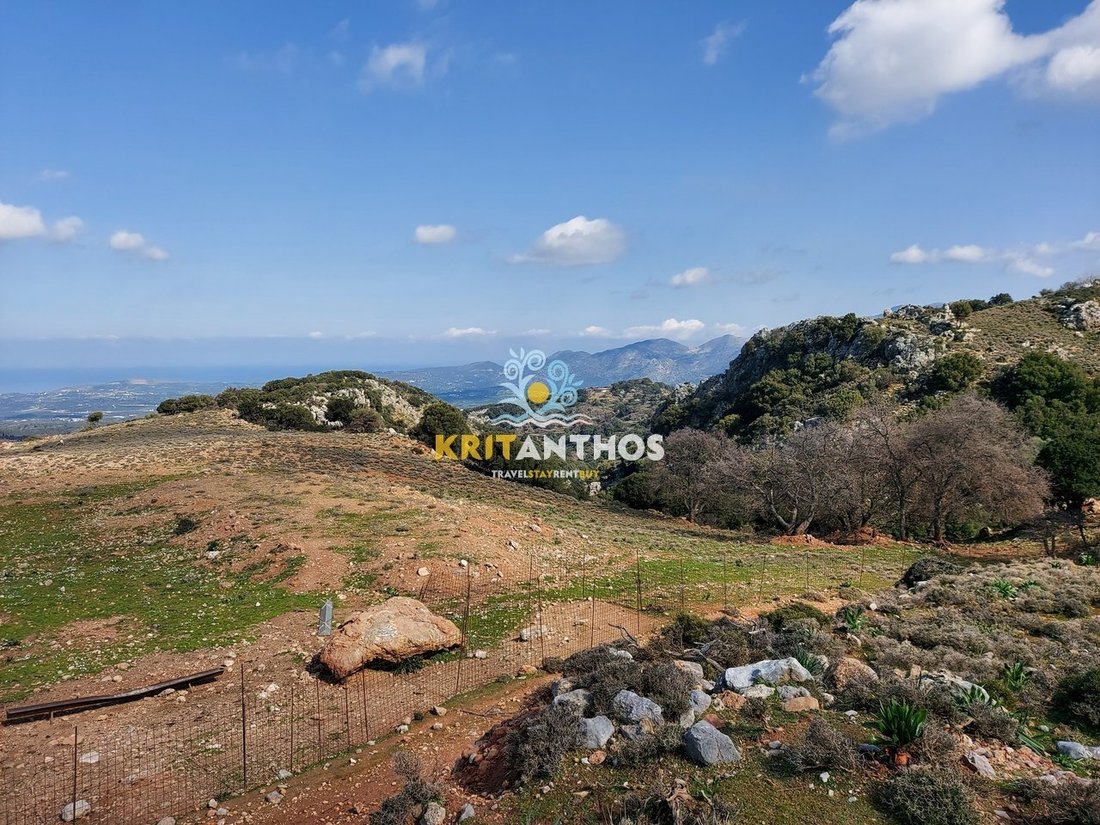 Land in Milopotamos, Greece 3 - 14678834