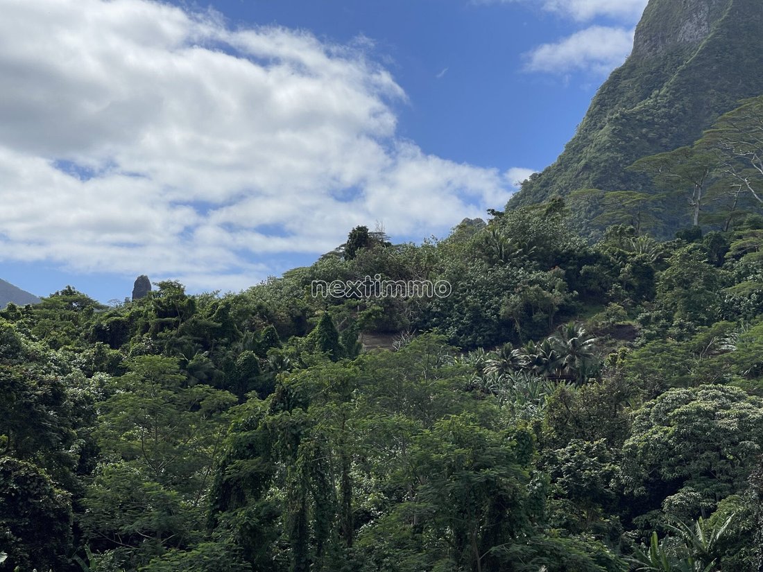 Moorea-Maiao, Windward Islands, French Polynesia 3 - 14677881