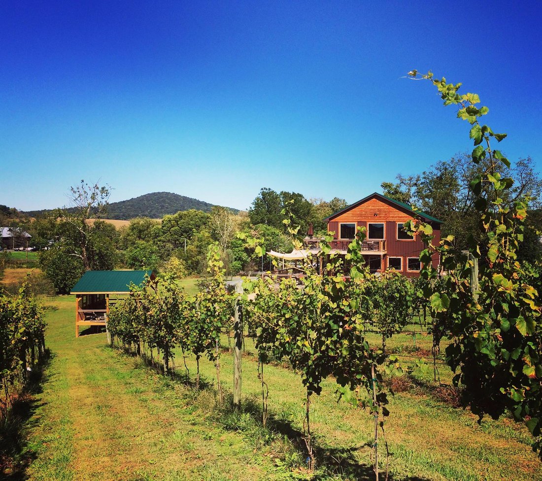 Farm Ranch in Quicksburg, Virginia, United States 5 - 14682722