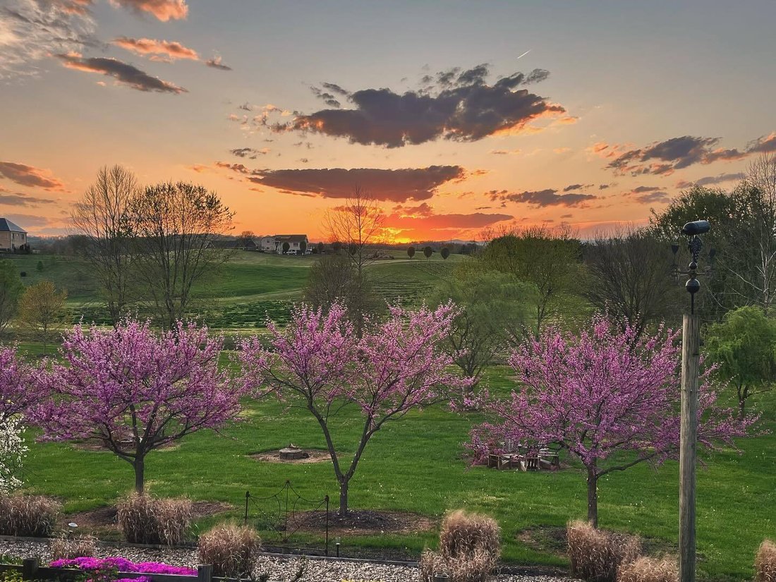 Farm Ranch in Quicksburg, Virginia, United States 4 - 14682722