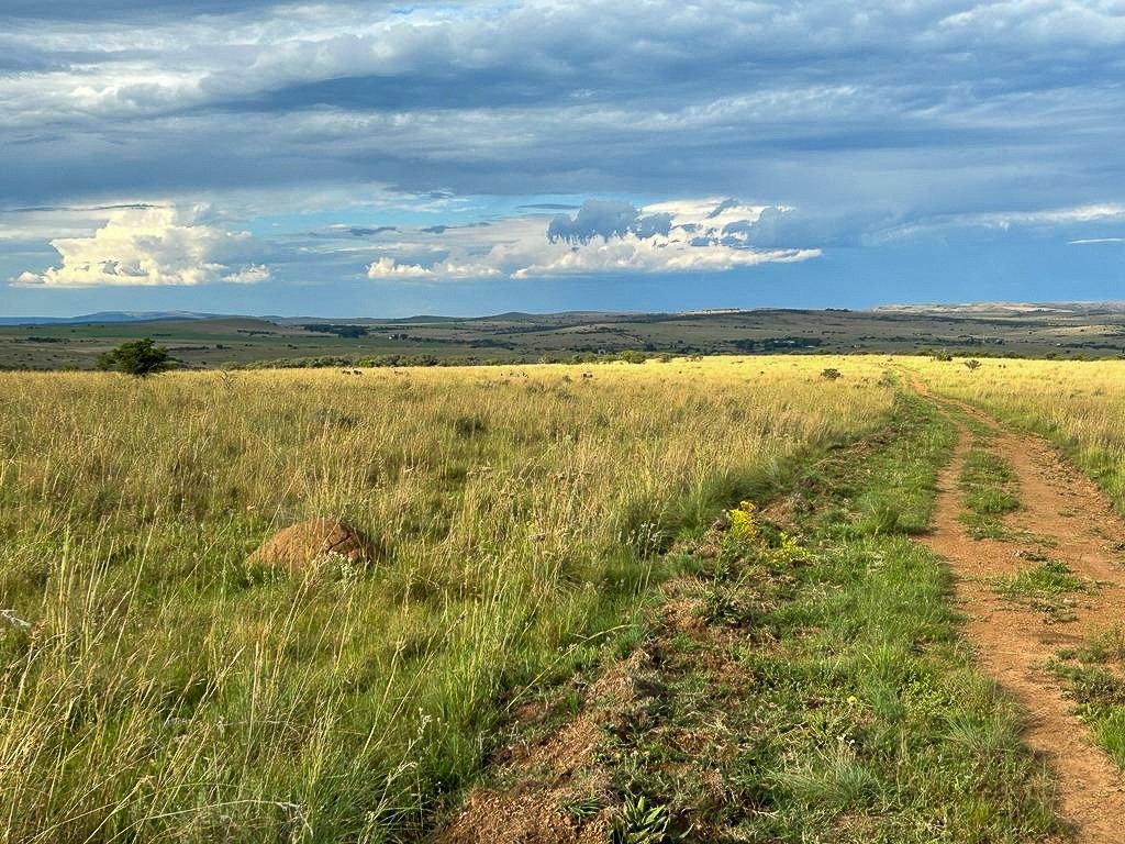Farm Ranch in Potchefstroom, North West, South Africa 2 - 14684074