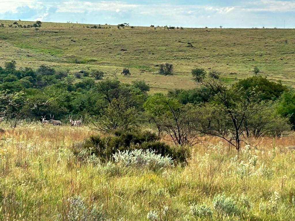 Farm Ranch in Potchefstroom, North West, South Africa 4 - 14684074