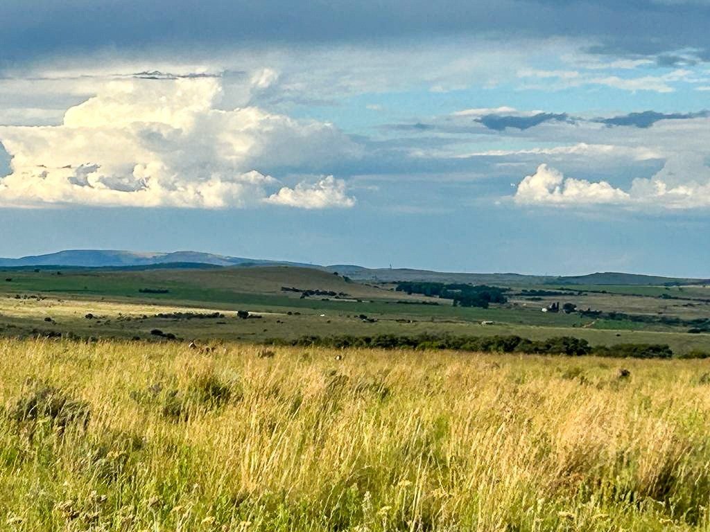 Farm Ranch in Potchefstroom, North West, South Africa 1 - 14684074
