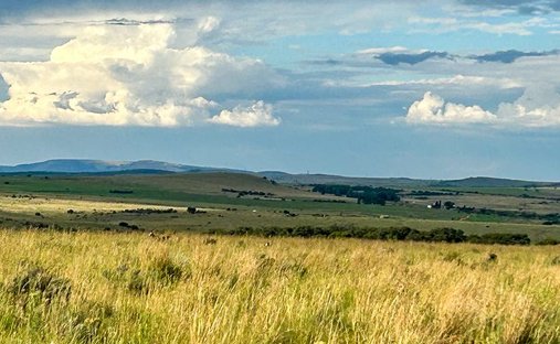Farm Ranch in Potchefstroom, North West, South Africa 1