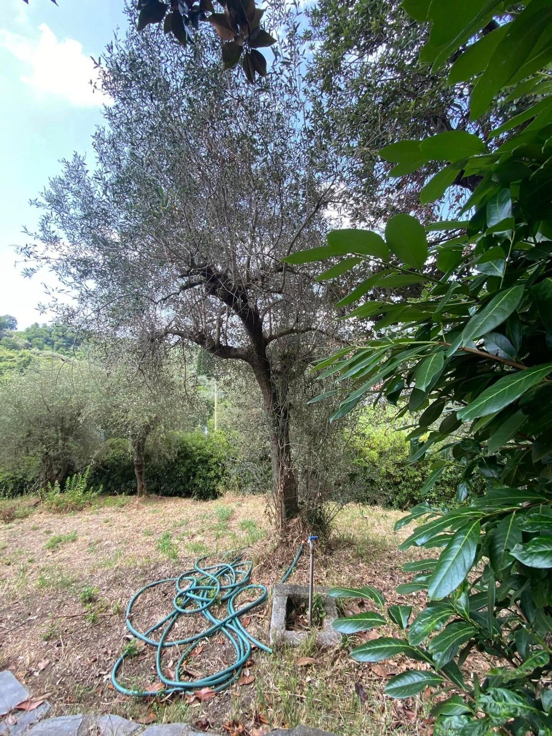 Villa in Fontia-Fossola-Fossone, Marina di Carrara, Tuscany 5 - 14684058