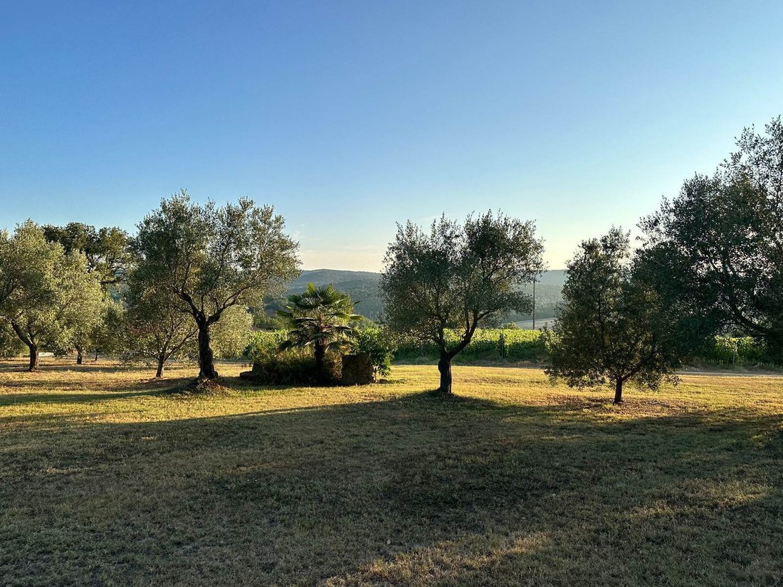 Magliano in Toscana, Tuscany, Italy 5 - 14683364