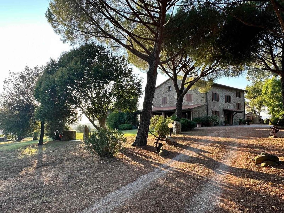 Magliano in Toscana, Tuscany, Italy 4 - 14683364