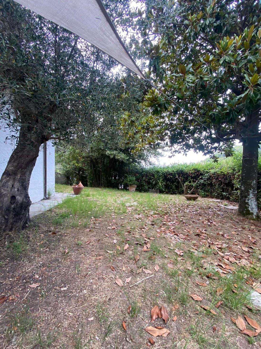 Villa in Fontia-Fossola-Fossone, Marina di Carrara, Tuscany 3 - 14684058