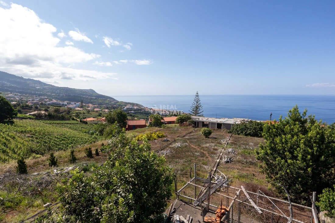 Villa in Estreito da Calheta, Madeira, Portugal 3 - 13531686