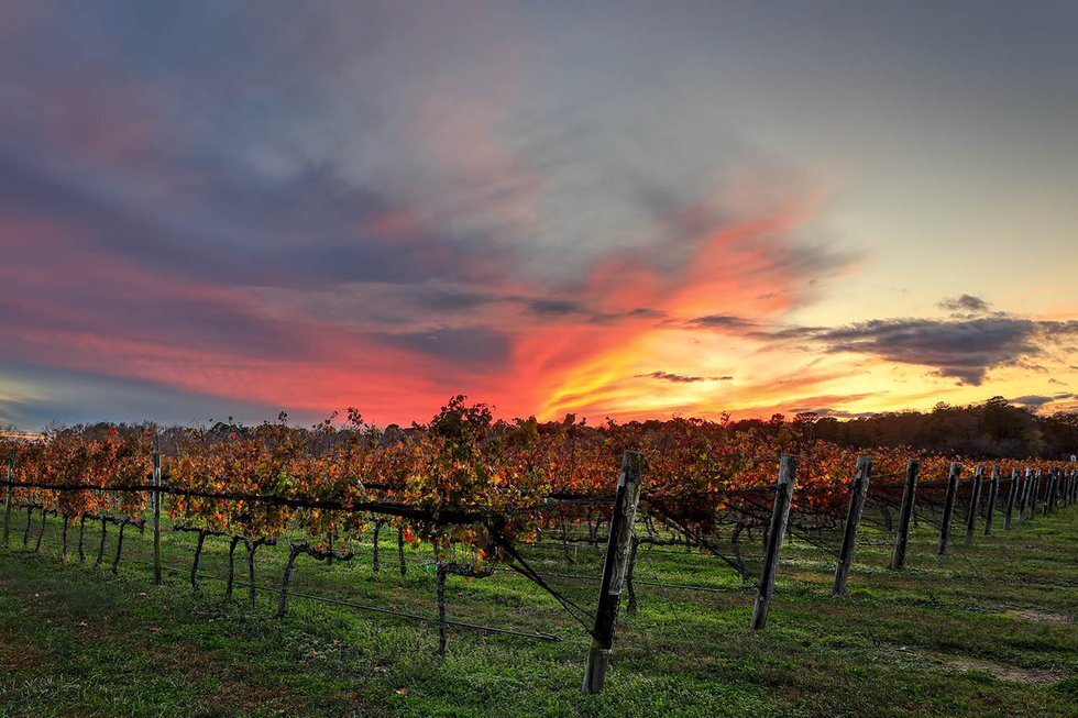 Farm Ranch in Charlottesville, Virginia, United States 2 - 14689821