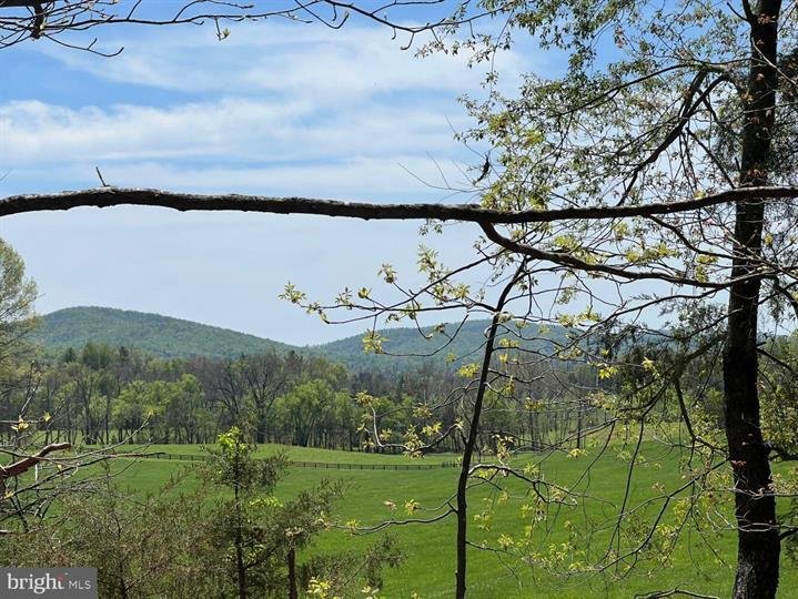 Farm Ranch in Barboursville, Virginia, United States 3 - 14689936