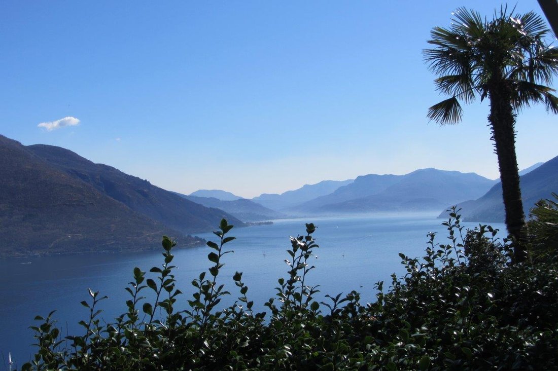 Land in Brissago TI, Tessin, Schweiz 4 - 14693223