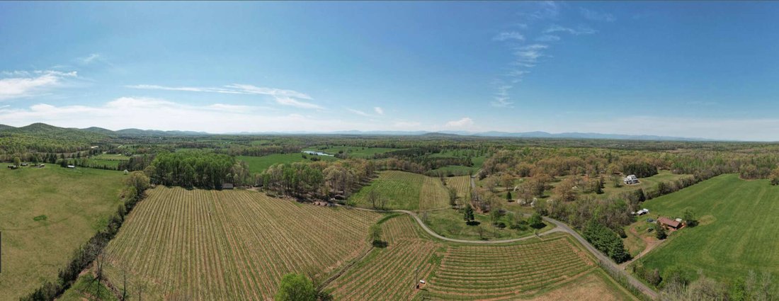 Farm Ranch in Barboursville, Virginia, United States 1 - 14689936