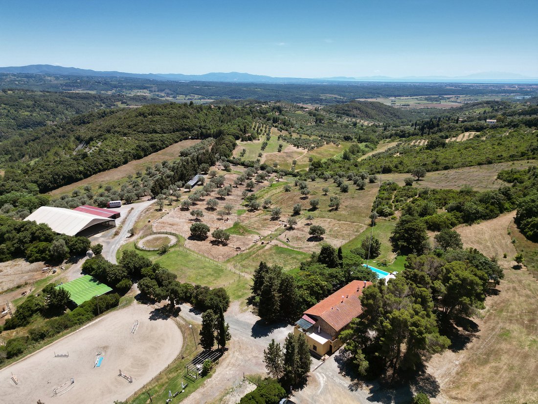 Azienda agricola a Riparbella, Toscana, Italia 1 - 14689824