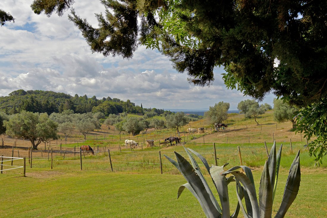 Azienda agricola a Riparbella, Toscana, Italia 2 - 14689824