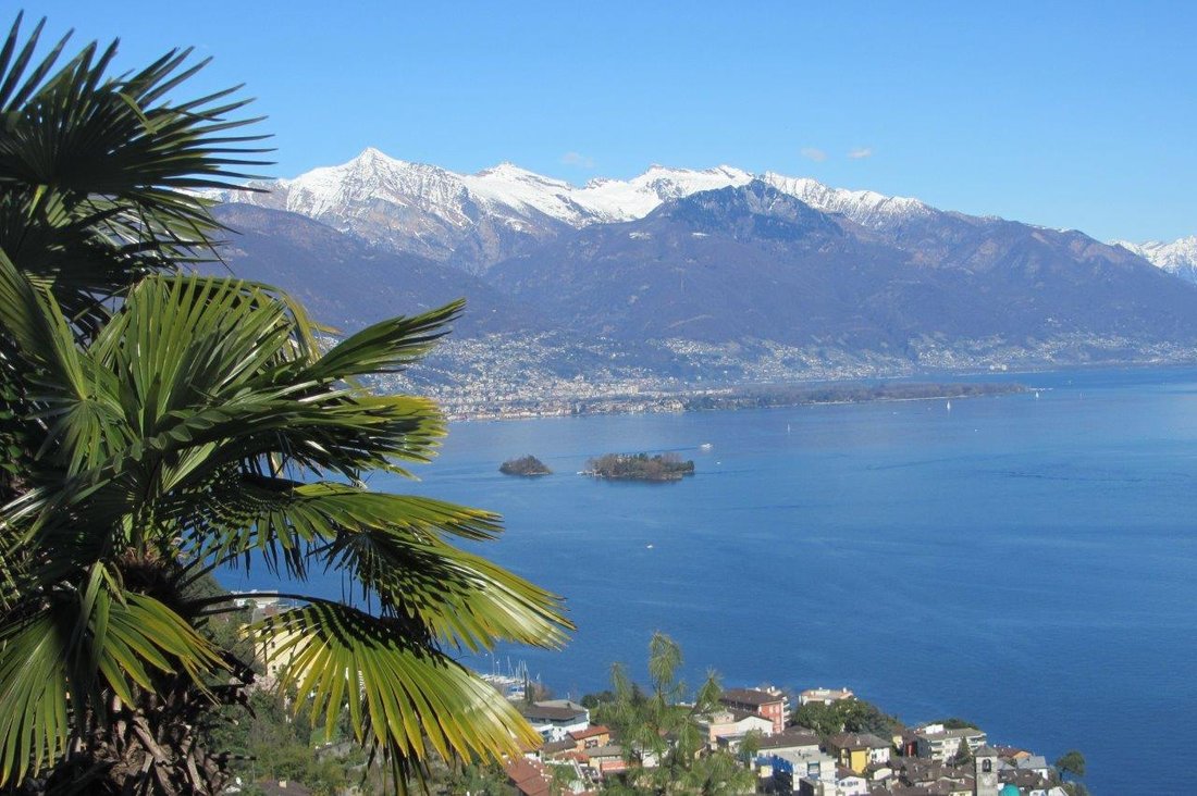 Land in Brissago TI, Tessin, Schweiz 5 - 14693223