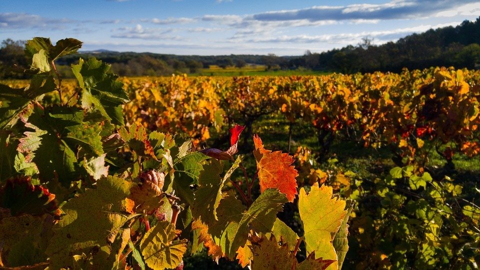 Farm Ranch in Marshall, Virginia, United States 1 - 14689822