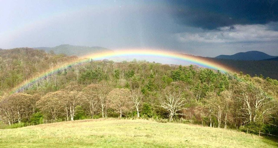 Farm Ranch in Charlottesville, Virginia, United States 4 - 14689821