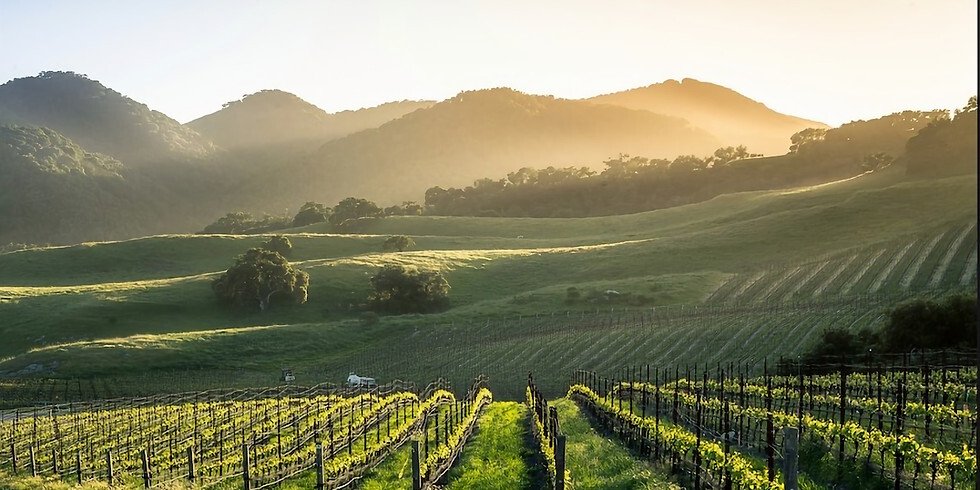 Farm Ranch in Charlottesville, Virginia, United States 1 - 14689821