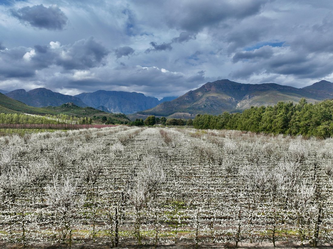 Farm Ranch in Franschhoek, Western Cape, South Africa 2 - 14616665