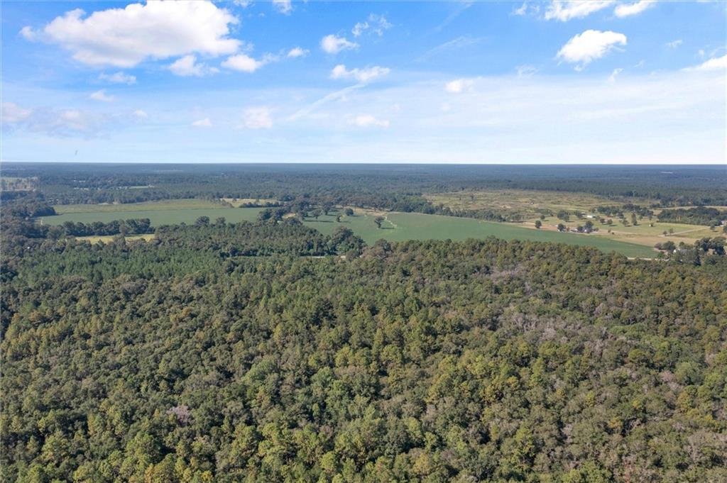 Land in Chunchula, Alabama, United States 5 - 14687193