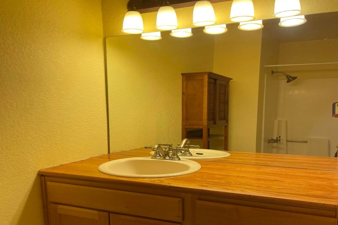 Cheshire In Flagstaff, Arizona, United States For Sale (14686490)