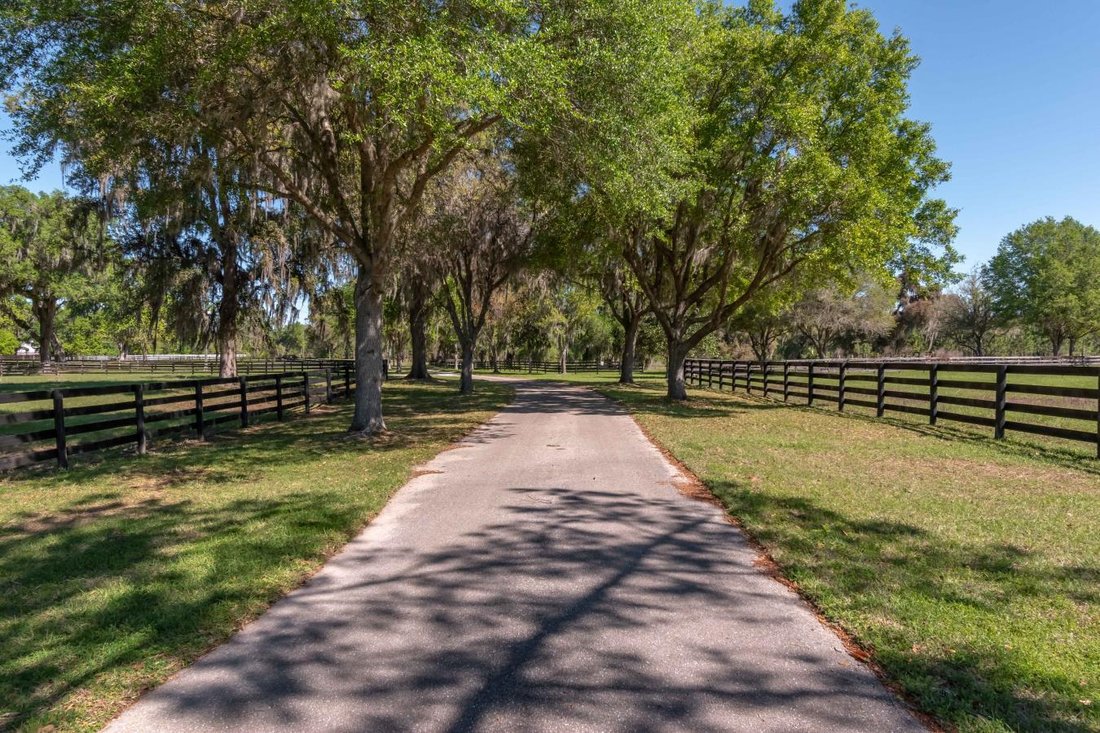 Reddick, Florida, United States 4 - 14687304