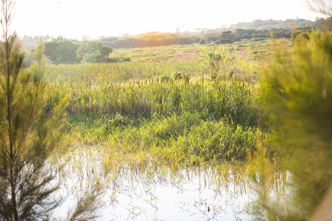 Land in Dolphin Coast, KwaZulu-Natal, South Africa 2 - 14687360