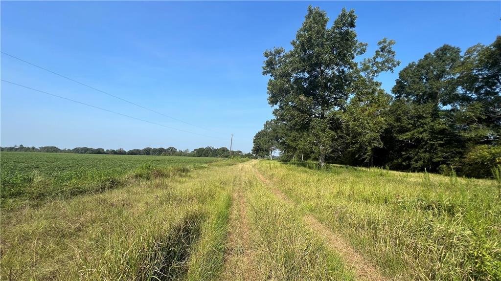 Land in Chunchula, Alabama, United States 4 - 14687193