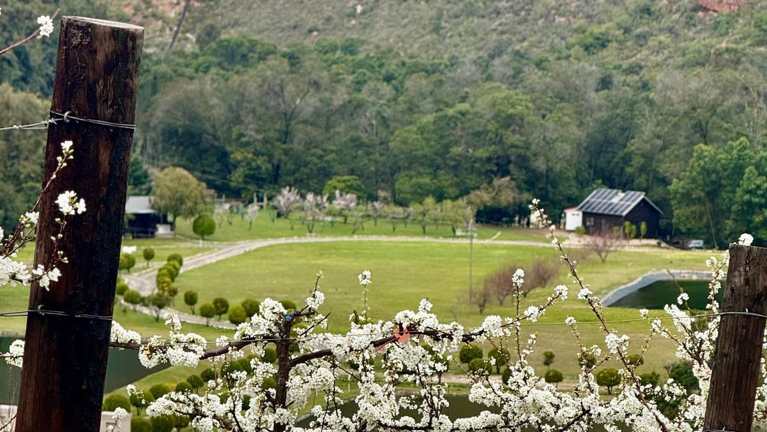 Farm Ranch in Franschhoek, Western Cape, South Africa 3 - 14616665