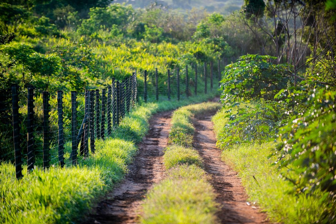 Land in Dolphin Coast, KwaZulu-Natal, South Africa 1 - 14687360