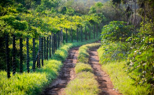 Land in Dolphin Coast, KwaZulu-Natal, South Africa 1