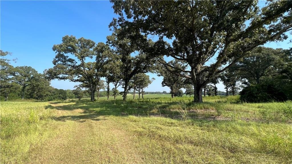 Land in Chunchula, Alabama, United States 1 - 14687193