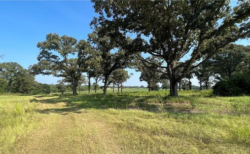 Land in Chunchula, Alabama, United States 1