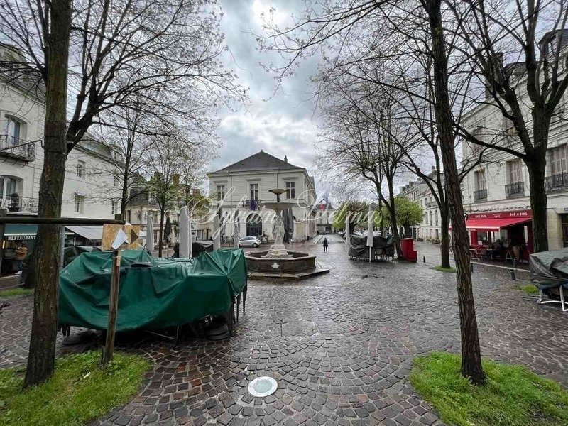 Property For Sale 10 Rooms Chinon (37) In Chinon, France For Sale