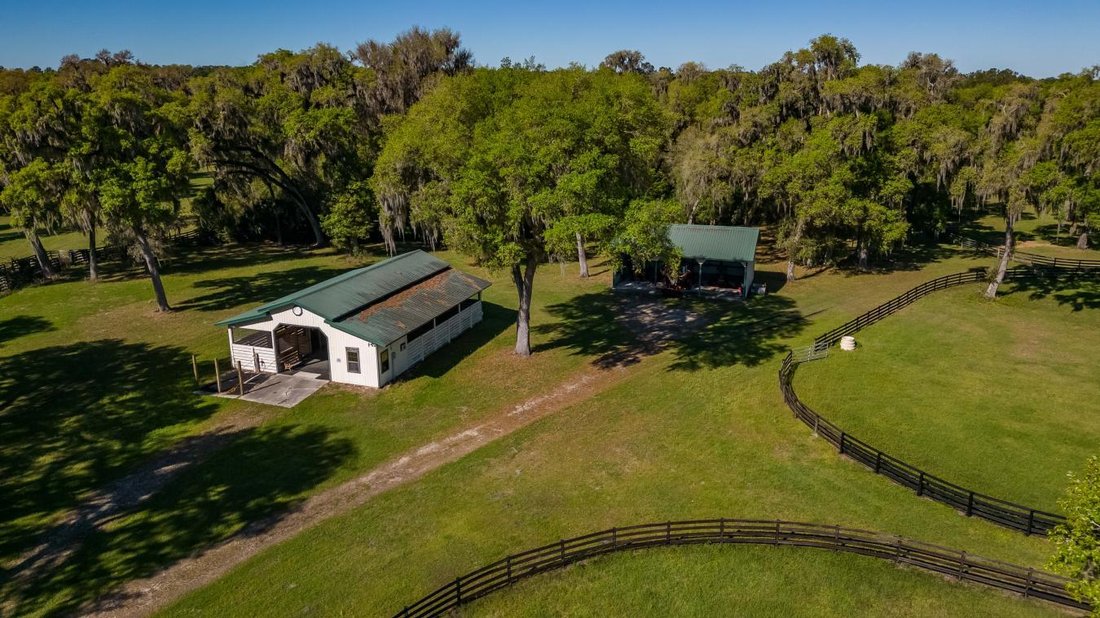 Reddick, Florida, United States 5 - 14687304
