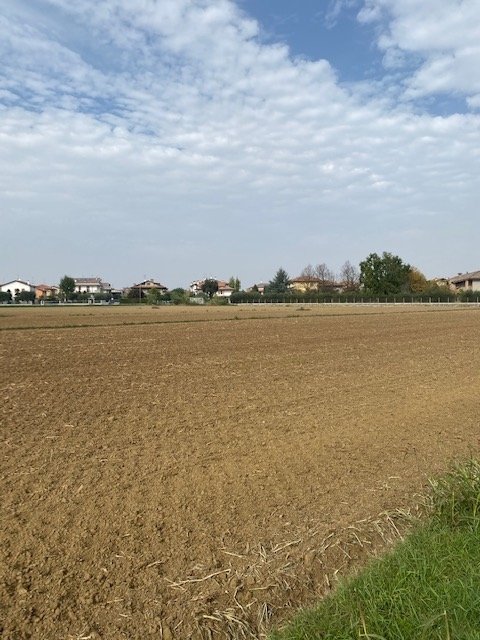 Land in Center, Cesena, Emilia-Romagna 5 - 14698052