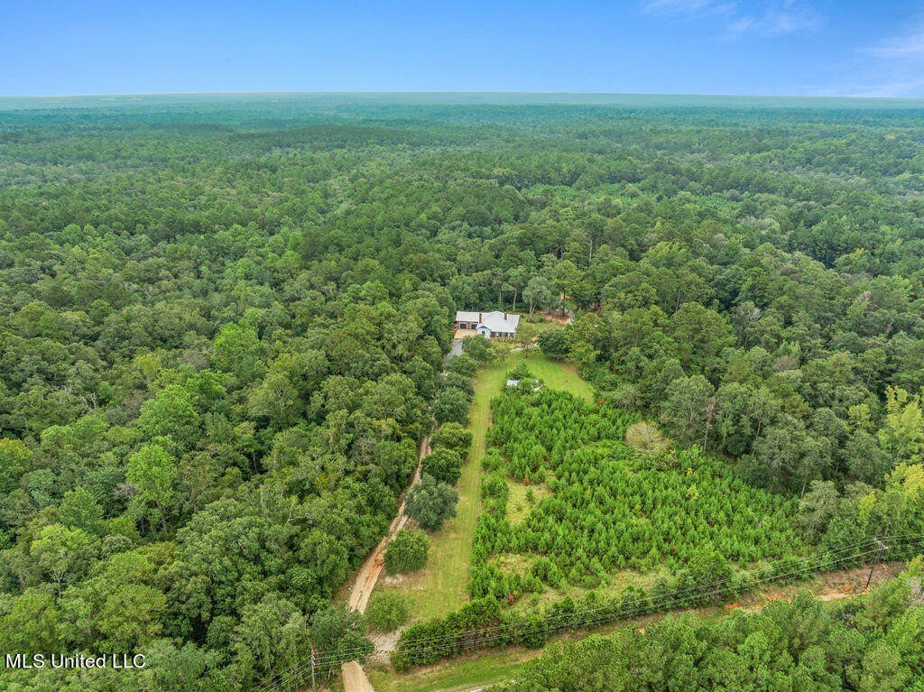House in Lucedale, Mississippi, United States 4 - 14694447