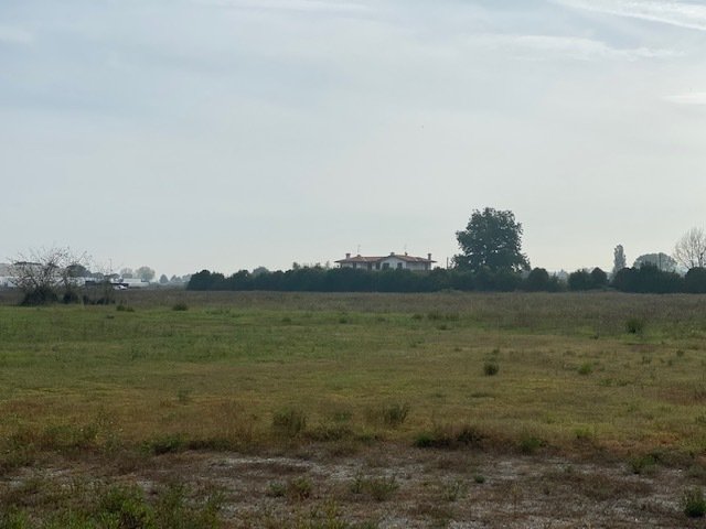 Land in Center, Cesena, Emilia-Romagna 3 - 14698049