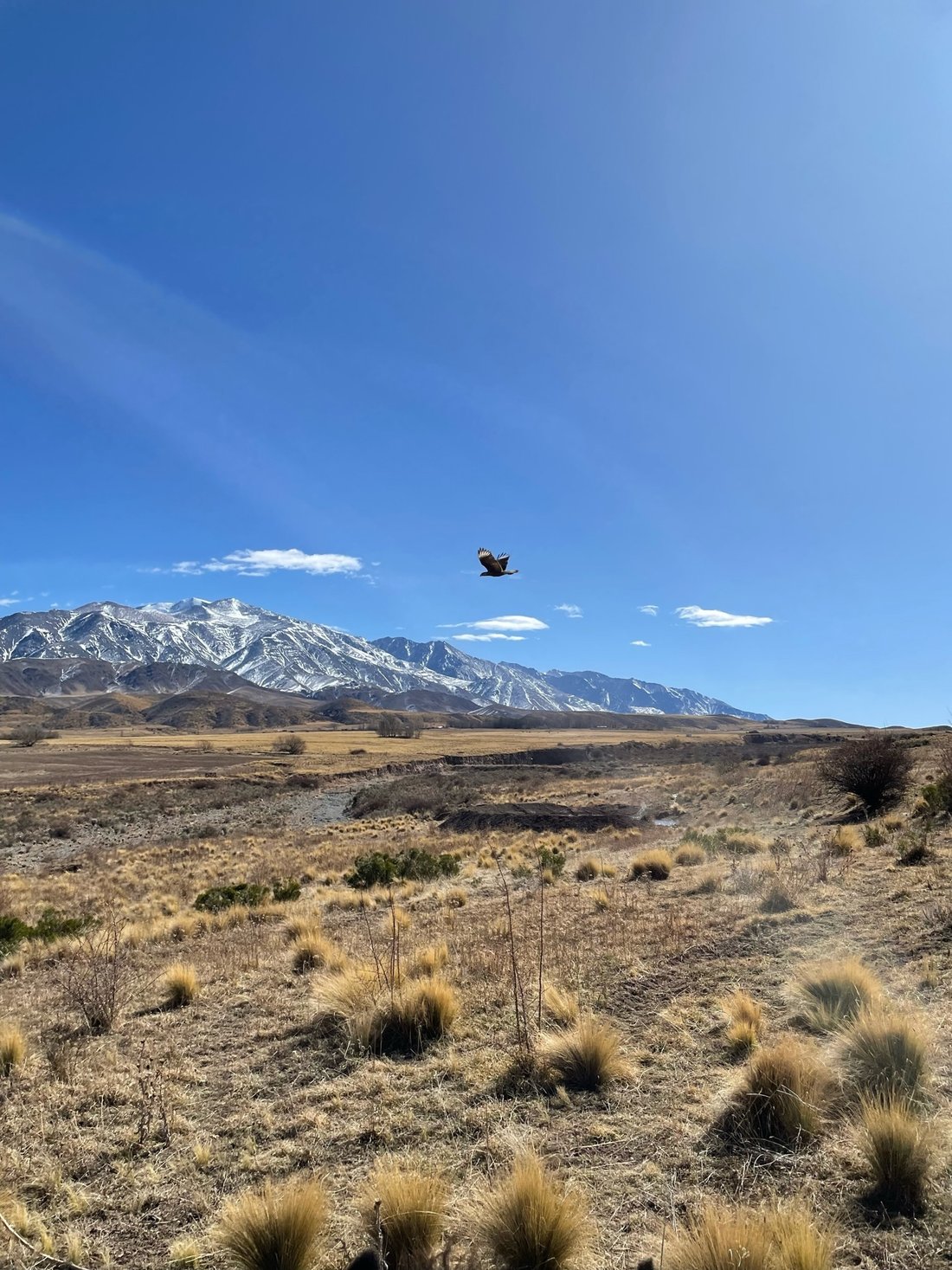 Land in Las Heras, Mendoza Province, Argentina 5 - 14698346